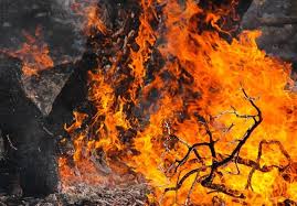 مقصر آتش‌سوزی جنگل های پره‌سر گیلان شناسایی شد
