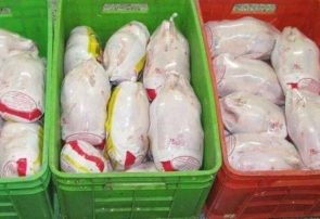 معاون وزیر صنعت: نگرانی بابت کاهش تولید مرغ نداریم