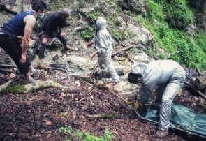 معمای “سها” دختر گمشده کوهنورد در جنگل‌ جهان‌نما