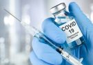 خبری خوش درباره دو واکسن ایرانی کرونا
