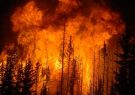آتش‌ سوزی در جنگل‌های نوار مرزی آستارا خسارت نداشت