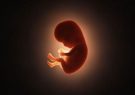 آدرس اشتباه درباره ارتباط آمار سقط جنین با غربالگری