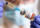 توضیح درباره آخرین وضعیت واکسن کووایران برکت