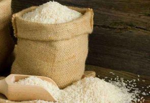 برنج وارداتی سال آینده قد می‌کشد