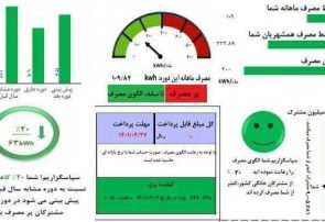 بدهی بیش از ۵۵۷ میلیارد تومانی مشترکان برق در استان