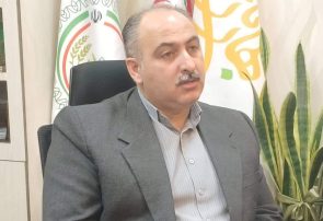 برگزاری جشنواره بهارنارنج، کم هزینه تر و متفاوت تر از همیشه