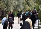سقوط آزاد افت تحصیلی و نمره‌ها در دانشگاها؛ دانشجویانی که حوصله درس خواندن ندارند