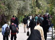 سقوط آزاد افت تحصیلی و نمره‌ها در دانشگاها؛ دانشجویانی که حوصله درس خواندن ندارند