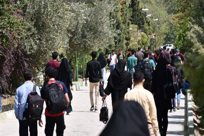 سقوط آزاد افت تحصیلی و نمره‌ها در دانشگاها؛ دانشجویانی که حوصله درس خواندن ندارند