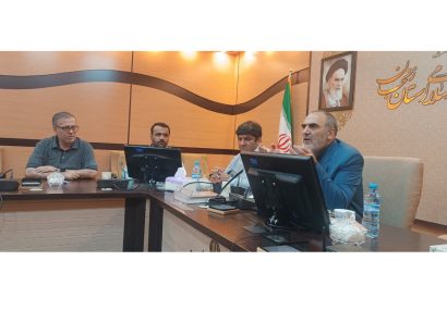 سرنگونی صدها ریزپرنده دشمن در زنجان؛ دستگیری عوامل خودفروخته و هشدار به خانواده‌ها