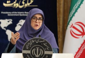 مهاجرانی: خروج اتباع غیر مجاز خواست مردم است/ تقدیر دولت از وزیر علوم