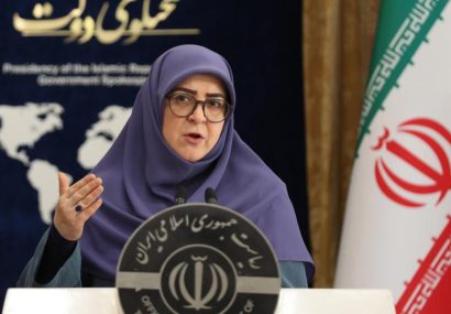 مهاجرانی: خروج اتباع غیر مجاز خواست مردم است/ تقدیر دولت از وزیر علوم