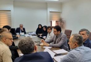 حمایت از توسعه زراعت چوب از اولویت‌های سرمایه‌گذاری در گیلان است