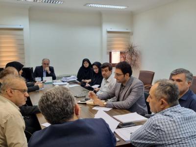 حمایت از توسعه زراعت چوب از اولویت‌های سرمایه‌گذاری در گیلان است