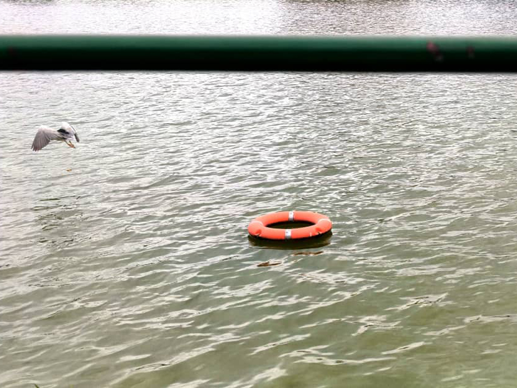 نادر معصومی