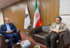 تأکید بر تعامل نهادهای نظارتی و اجرایی برای حمایت از تولید و اشتغال