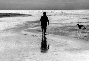 «شگفت‌انگیزی سادگی»