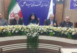 سهم شهرستان‌های گیلان به دلیل ضعف پیگیری از تسهیلات رونق تولید ناچیز است