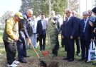 استانداران خزر درخت صلح کاشتند
