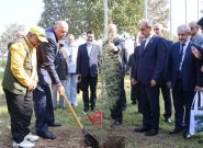 استانداران خزر درخت صلح کاشتند