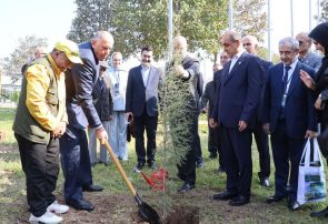 استانداران خزر درخت صلح کاشتند