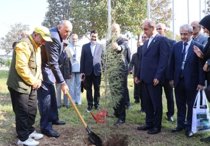 استانداران خزر درخت صلح کاشتند