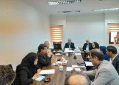 نوغانداران گیلانی از تسهیلات کم بهره برخوردار میشوند نوغانداران گیلانی از تسهیلات کم بهره برخوردار میشوند