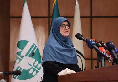 بدون نگاه زنانه امکان سیاستگذاری توسعه‌ای وجود ندارد/ تبدیل مسئله زنان به مطالبه ملی