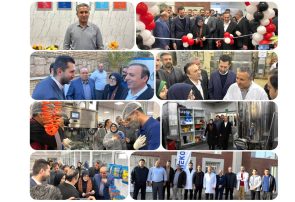 سرمایهگذاری ۴ میلیون یورویی، اشتغالزایی ۱۰۰ نفره و ظرفیت تولید ماهانه ۳ میلیون قطعه