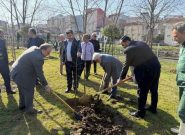 ۱۰ هزار اصله درخت بومی برای نخستین بار در سطح رشت غرس می شود