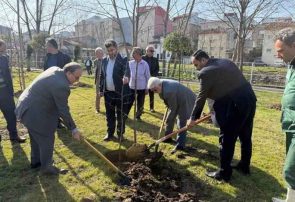 ۱۰ هزار اصله درخت بومی برای نخستین بار در سطح رشت غرس می شود