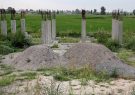سوءاستفاده زمین‌خواران از تعطیلات برای تغییر کاربری اراضی کشاورزی گیلان