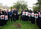 غرس ۱۶۸ اصله نهال در رشت به یاد شهدای دانش‌ آموز میناب ‌ از میناب تا رشت؛ پیوند ایثار و محیط زیست در قالب پویش «هر دانش‌آموز، یک نهال»
