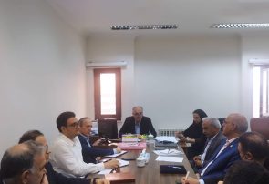 یک همت تسهیلات سرمایه در گردش برای تامین مالی خرید برگ سبز چای پیشبینی شد یک همت تسهیلات سرمایه در گردش برای تامین مالی خرید برگ سبز چای پیشبینی شد