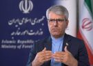 بقائی: اقدام اوکراین ماجراجویی خطرناک بود که قطعاً از طرف ما بی‌پاسخ نخواهد ماند