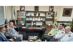 ایجاد آرامش خاطر و امنیت اجتماعی دستاورد مشترک نیروی انتظامی و تامین اجتماعی است