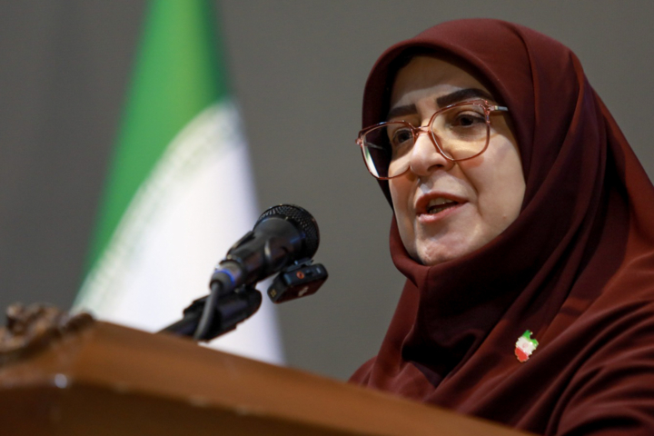 مهاجرانی: دولت بازسازی مناطق آسیب دیده را در دستور کار قرار دادهاست مهاجرانی: دولت بازسازی مناطق آسیب دیده را در دستور کار قرار دادهاست