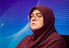 مهاجرانی: در حملات اخیر به جنوب ایران بیش از ۳۰ غیرنظامی شهید شدند
