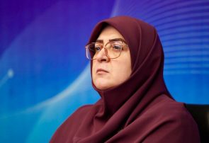 مهاجرانی: در حملات اخیر به جنوب ایران بیش از ۳۰ غیرنظامی شهید شدند