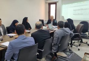 تسهیلات اشتغالزایی در اختیار نهادهای حمایتی باید براساس اولویت‌های گیلان پرداخت شود