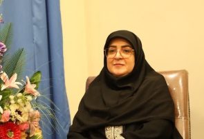 مهاجرانی: کشور با همبستگی ملی از دشواریهای جنگ گذر کرد مهاجرانی: کشور با همبستگی ملی از دشواریهای جنگ گذر کرد