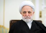 محسنی اژه‌ای عازم هند شد/ موضوع اصلی اجلاس بریکس مسائل مرتبط با تجارت جهانی است