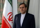 قشقاوی: آمریکا نمی‌داند چه پاسخی به شروط ایران بدهد/‌به بن‌بست رسیدند