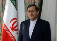 قشقاوی: آمریکا نمیداند چه پاسخی به شروط ایران بدهد/به بنبست رسیدند قشقاوی: آمریکا نمیداند چه پاسخی به شروط ایران بدهد/به بنبست رسیدند