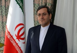 قشقاوی: آمریکا نمیداند چه پاسخی به شروط ایران بدهد/به بنبست رسیدند قشقاوی: آمریکا نمیداند چه پاسخی به شروط ایران بدهد/به بنبست رسیدند