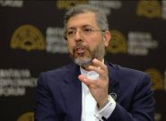 خطیب‌زاده در وین: ان‌پی‌تی با تنفس مصنوعی زنده است