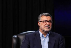 انجام اقدامات مراقبتی در مرزها در ارتباط با طاعون/ جای نگرانی وجود ندارد